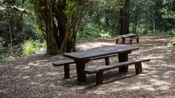 Rastplatz mit Bänken und Tischen im Nebelwald El Cedro auf La Gomera