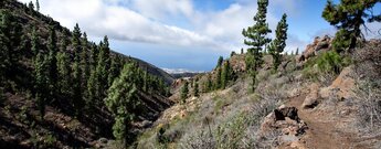 Wanderweg entlang des Barranco