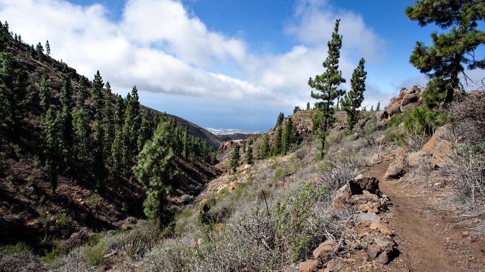 Wanderweg entlang des Barranco