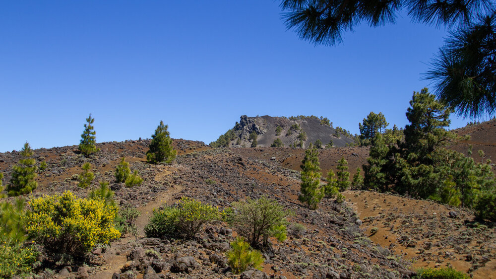 Blick über den Höhenrücken der Cumbre Vieja zum Pico Nambroque