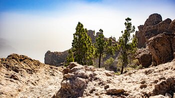 das felsige Gipfelplateau des El Campanario