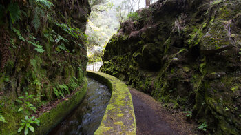 gefüllter Wasserkanal im Biosphärenreservat Los Tilos auf La Palma