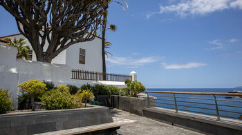 schattiger Platz unter einem Drachenbaum an der Punta del Viento in Puerto de la Cruz