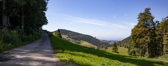 der Westweg am Startpunkt beim Wiedener Eck