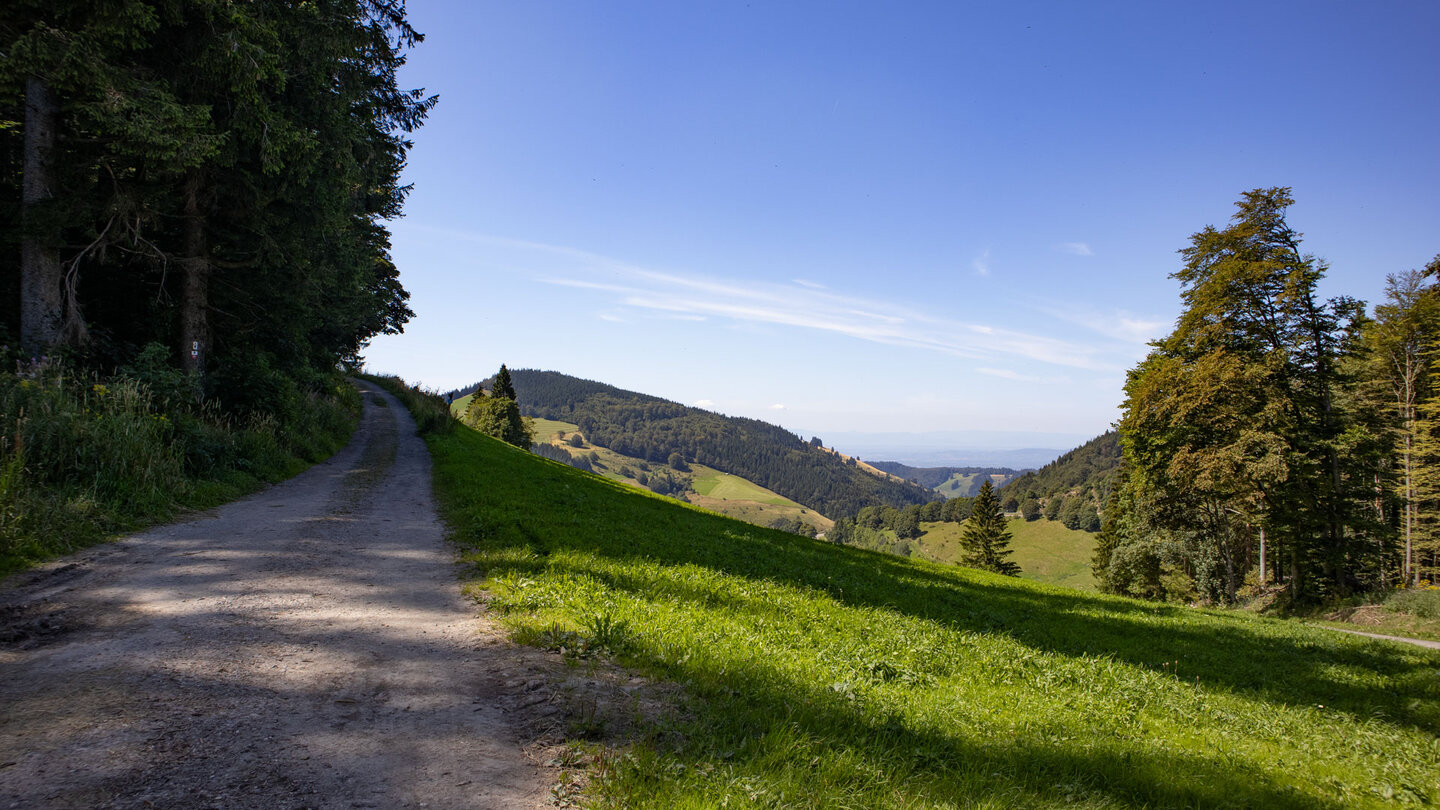 der Westweg am Startpunkt beim Wiedener Eck