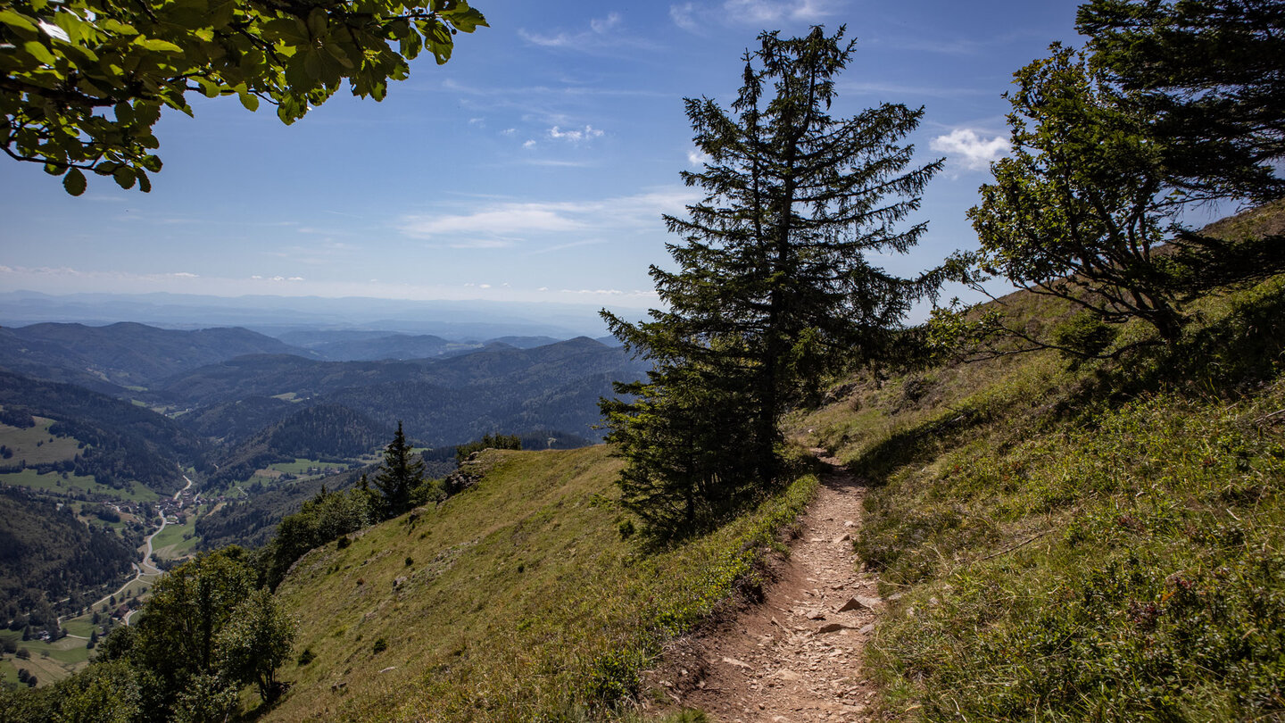 Wanderweg oberhalb der Rapsfelsen am Belchen