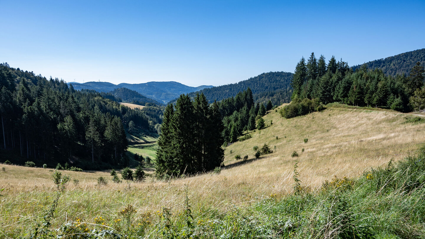 Wanderung zwischen Wäldern und Wiesen beim Spänplatz