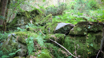 Felsformationen in der Schlucht des Lautenbachs