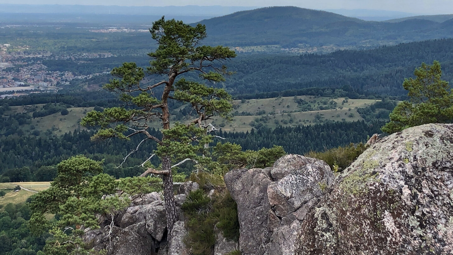 Blick vom Großen Lautenfelsen ins Murgtal