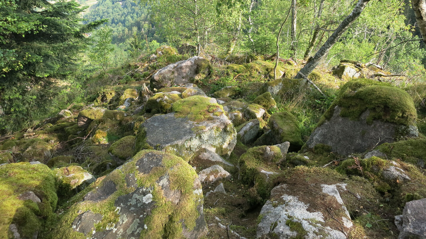 Geröllfeld am Lautenfelsenweg