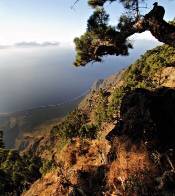 Blick über die steil abfallenden Felswände des Risco de Los Herreños vom Mirador de las Playas auf El Hierro