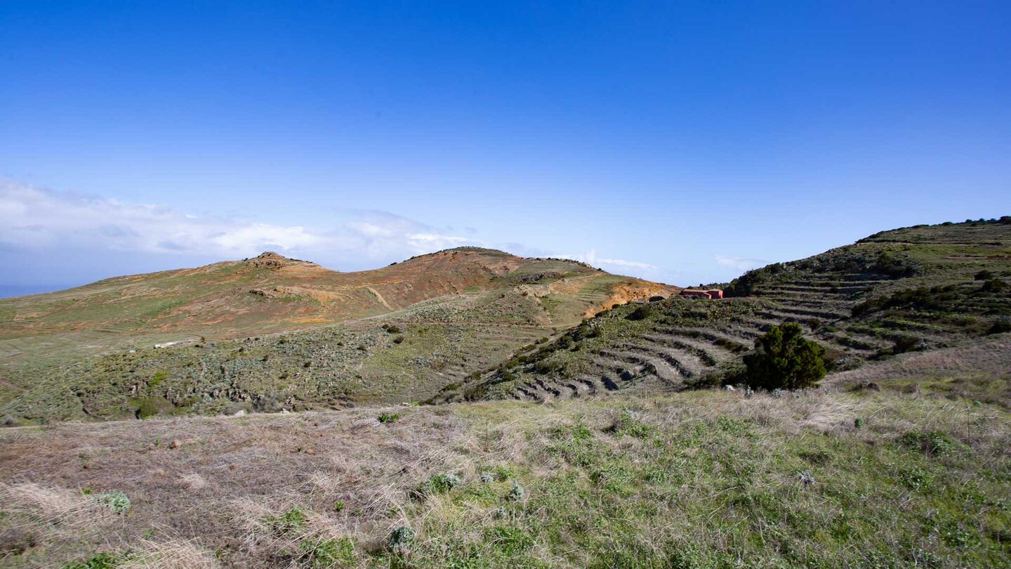 terrassierte Felder bei Teno Alto