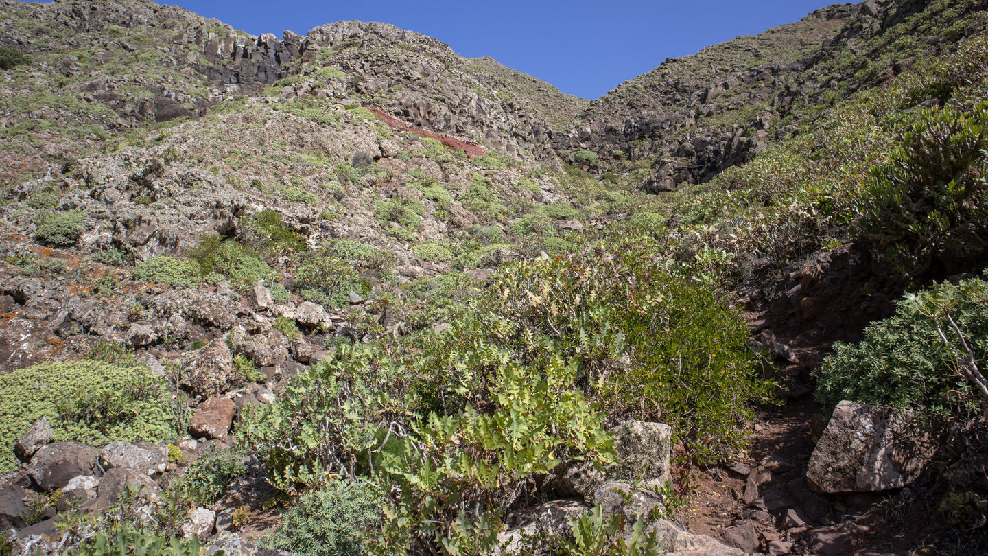 malerischer Wanderpfad aufs Famara-Riff