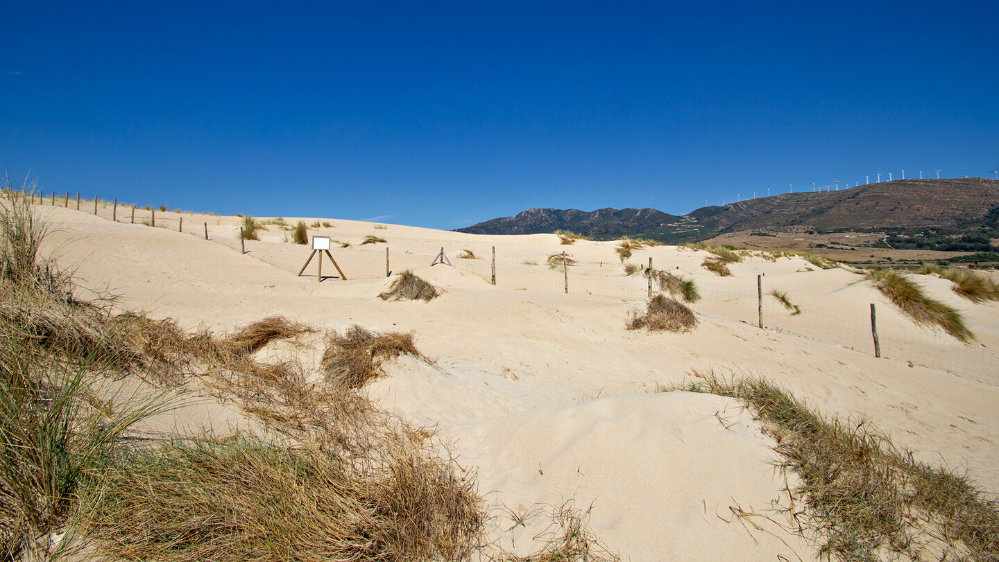 Duna de Valdevaqueros im Naturpark del Estrecho