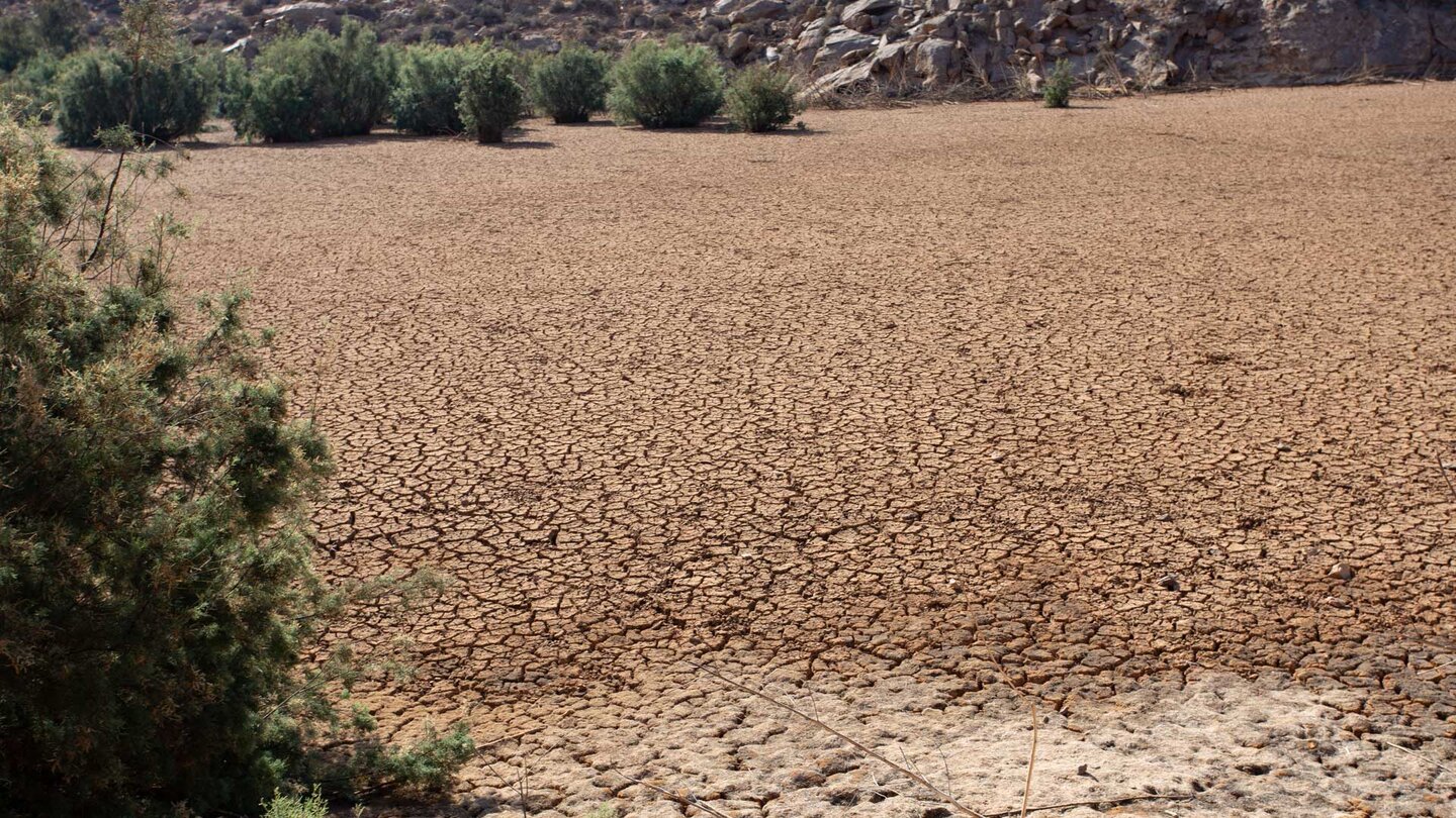 der durch angeschwemmtes Sediment verlandetete Stausee Presa de Las Peñitas