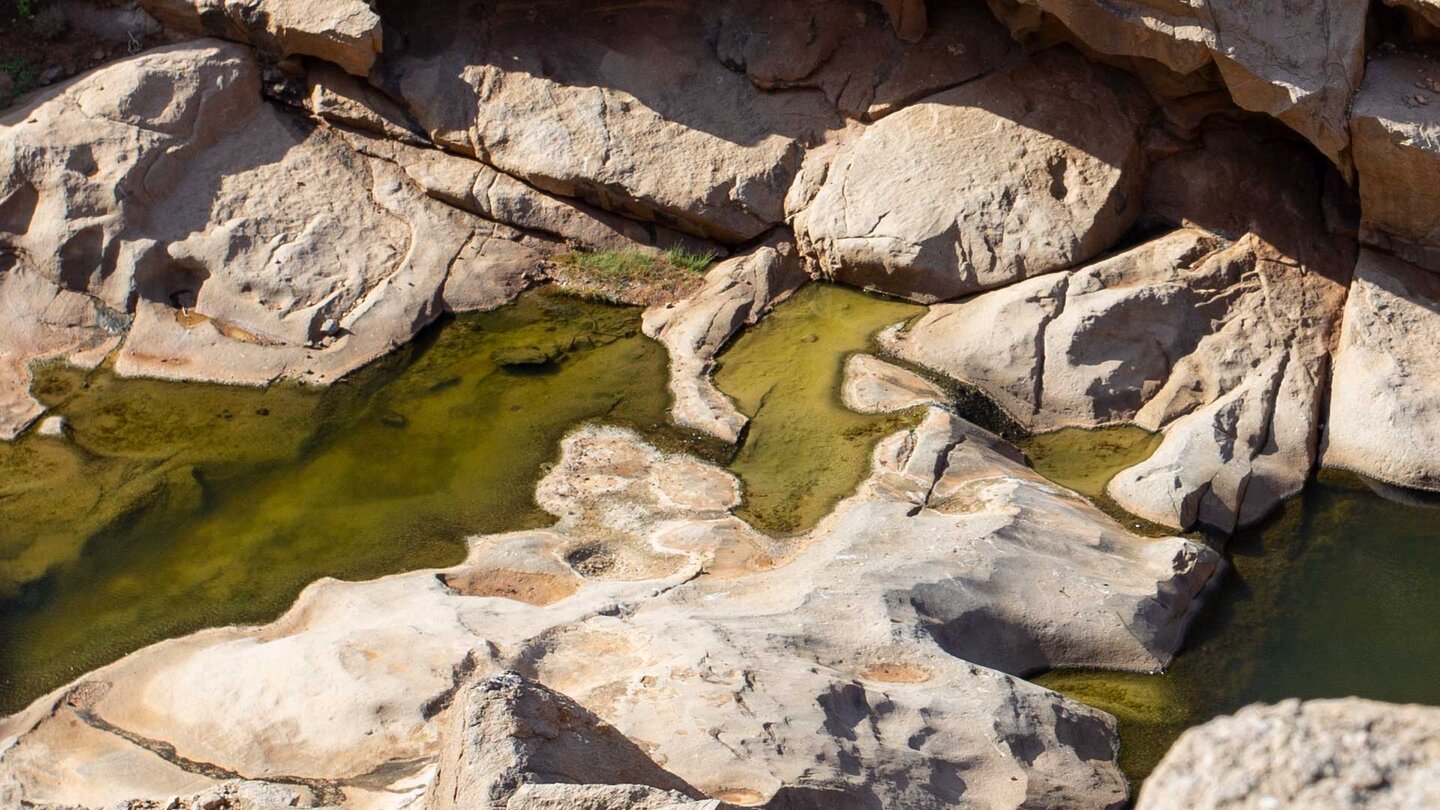 Blick auf den kleinen Wasserlauf in der Schlucht bei Betancuria