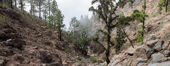 Ausblick ins Barranco Tágara