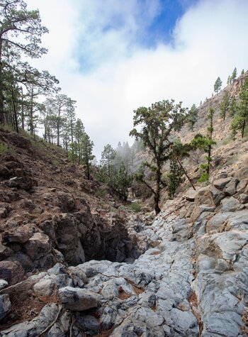 Ausblick ins Barranco Tágara