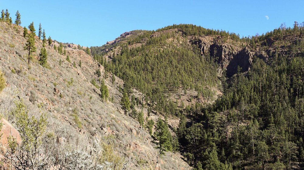 Blick am Camino Lomo de las Vistas in die Schlucht Barranco Tágara