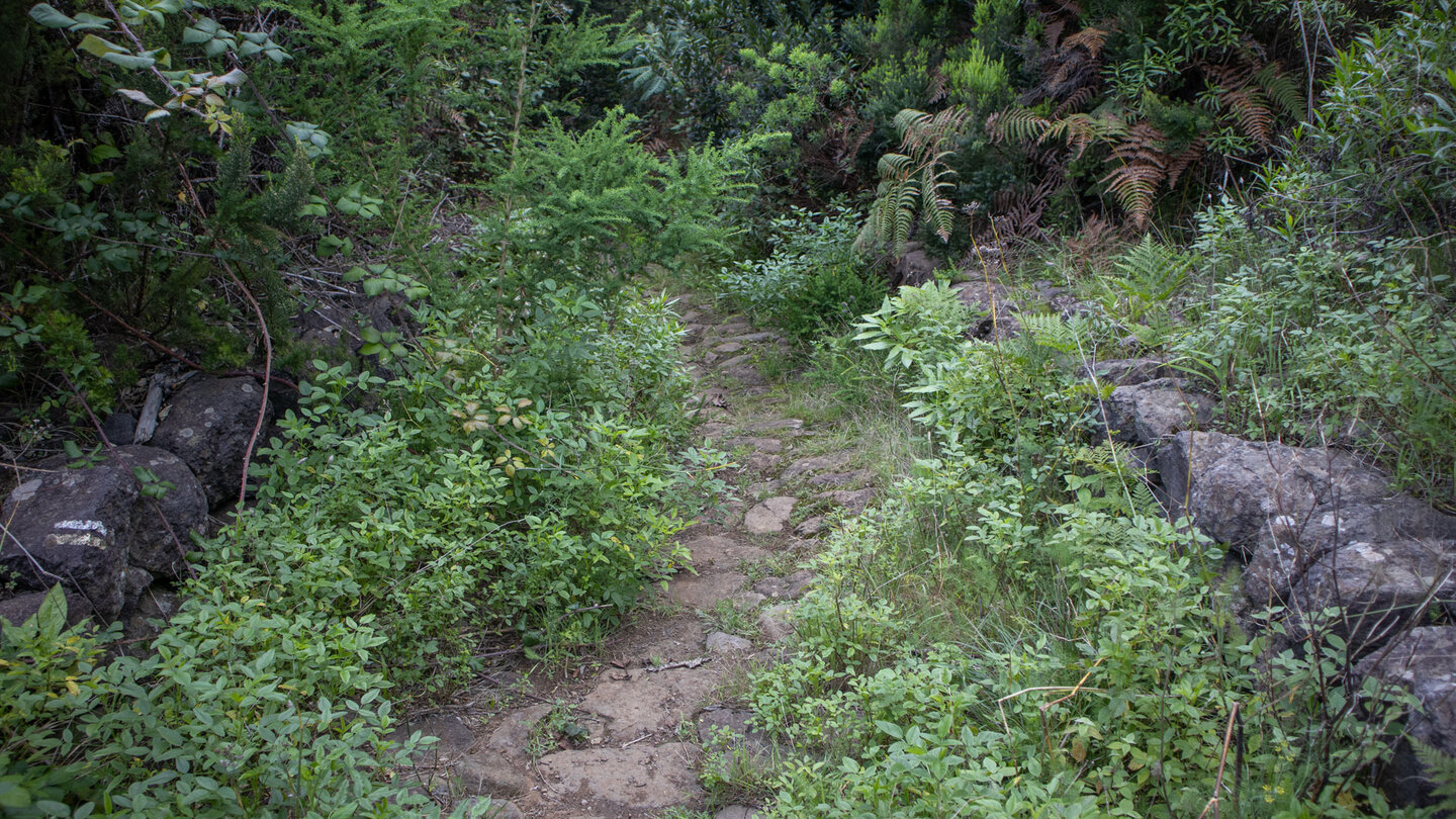 gepflasterter Wanderweg oberhalb Los Sauces