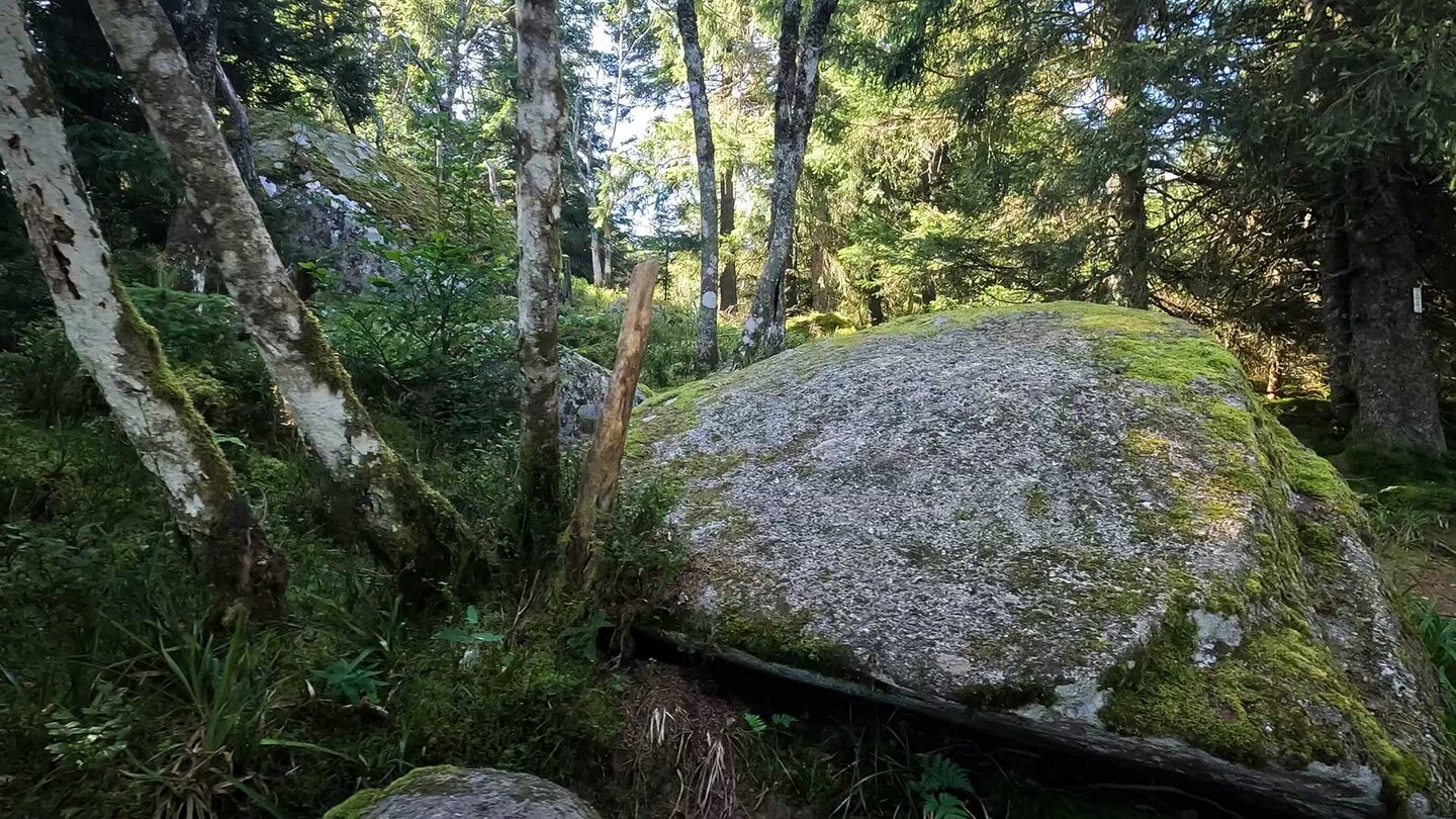 Findlinge am Wanderweg