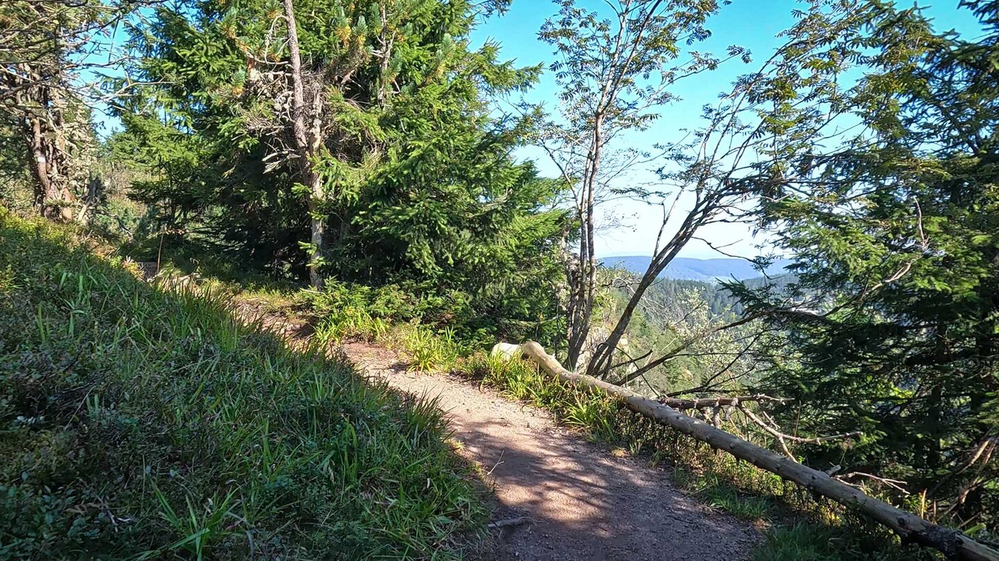 Wanderpfad hoch über dem Westufer des Lac Blanc