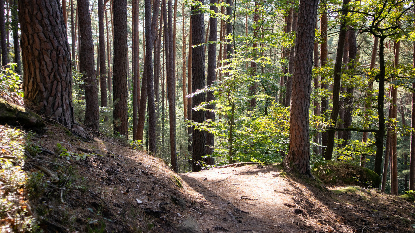 Abstiegsroute am Saarturm