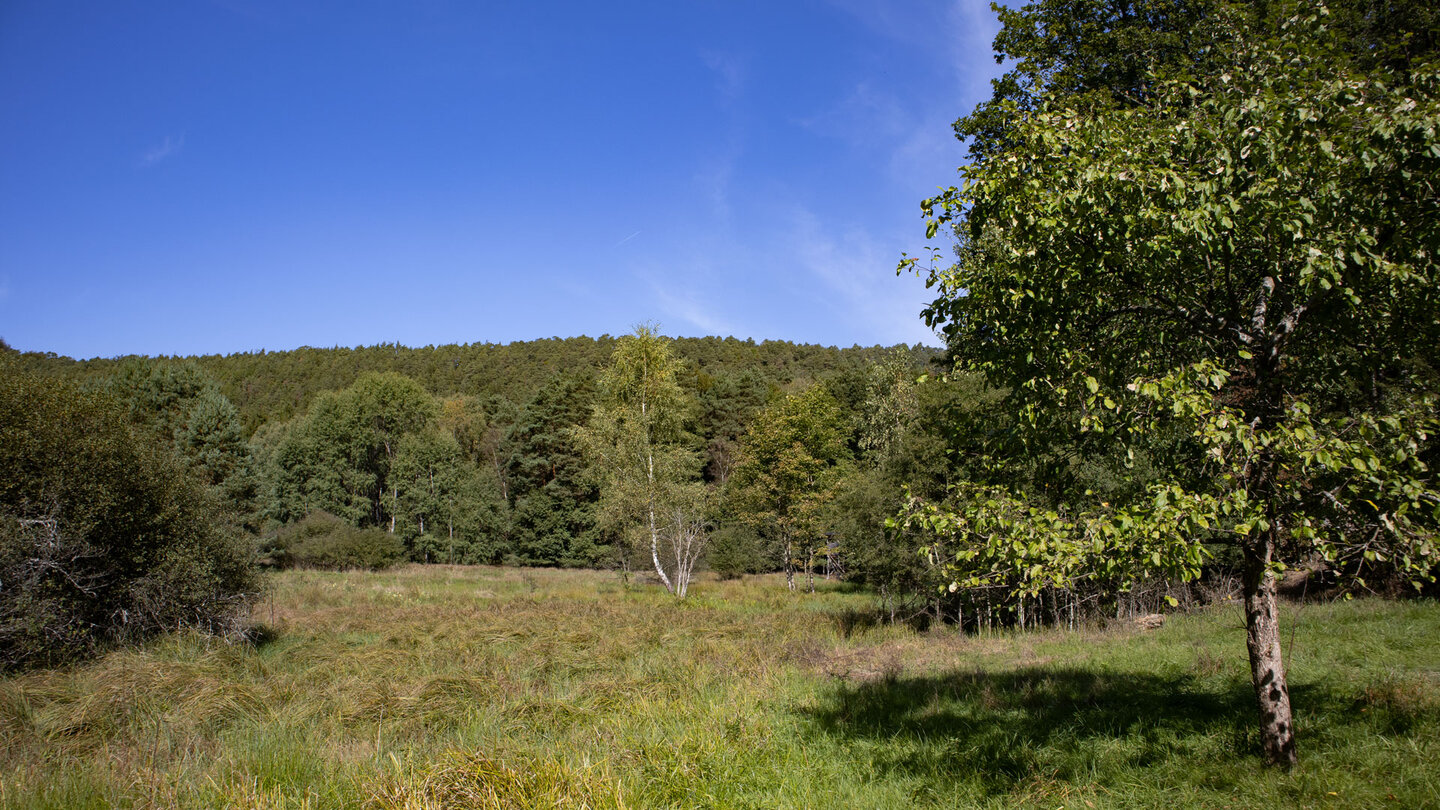 Wanderung durch die Wiesenlandschaft beim Reinighof