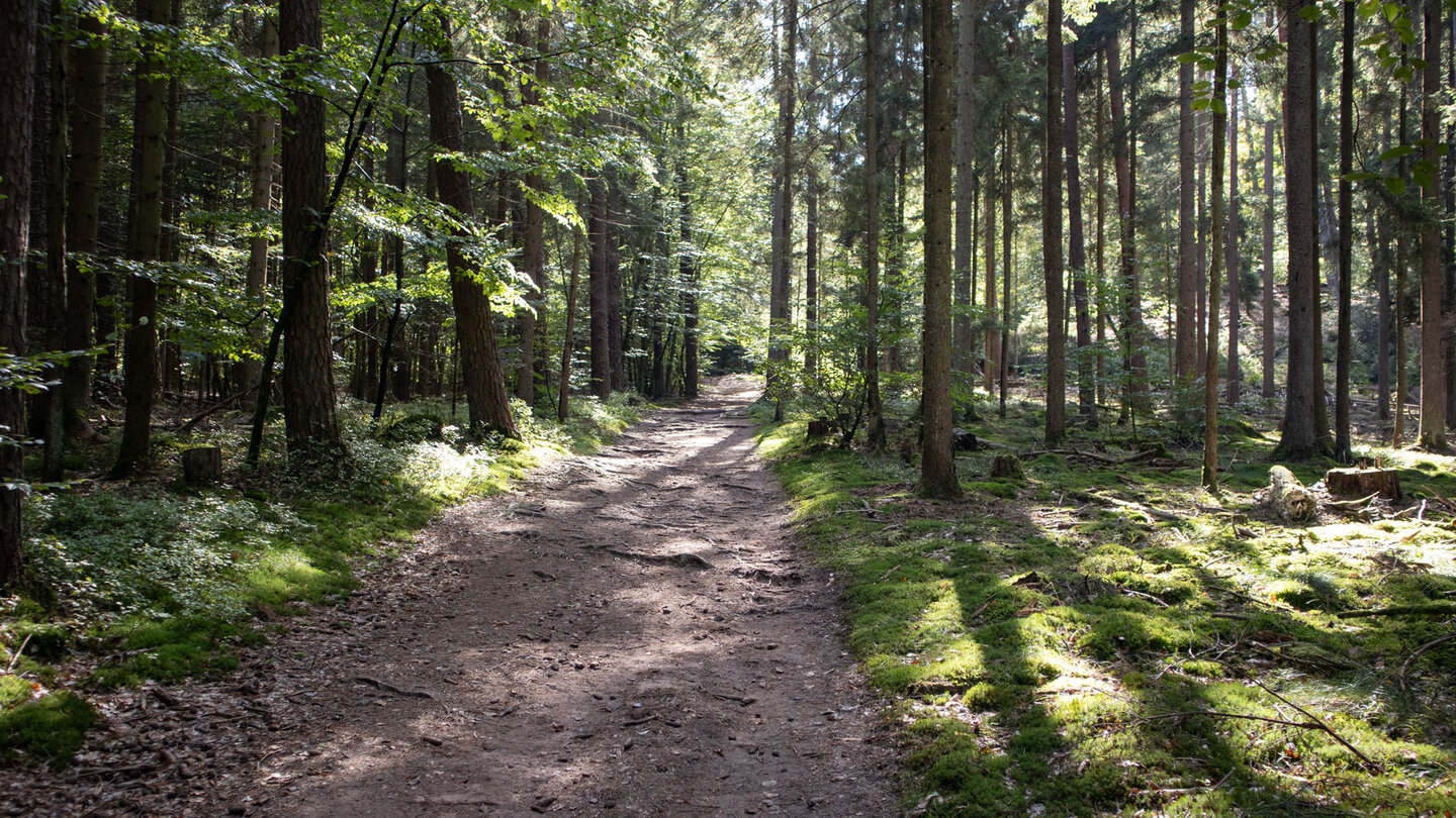 Wanderroute bei der Felmersbacher Halde