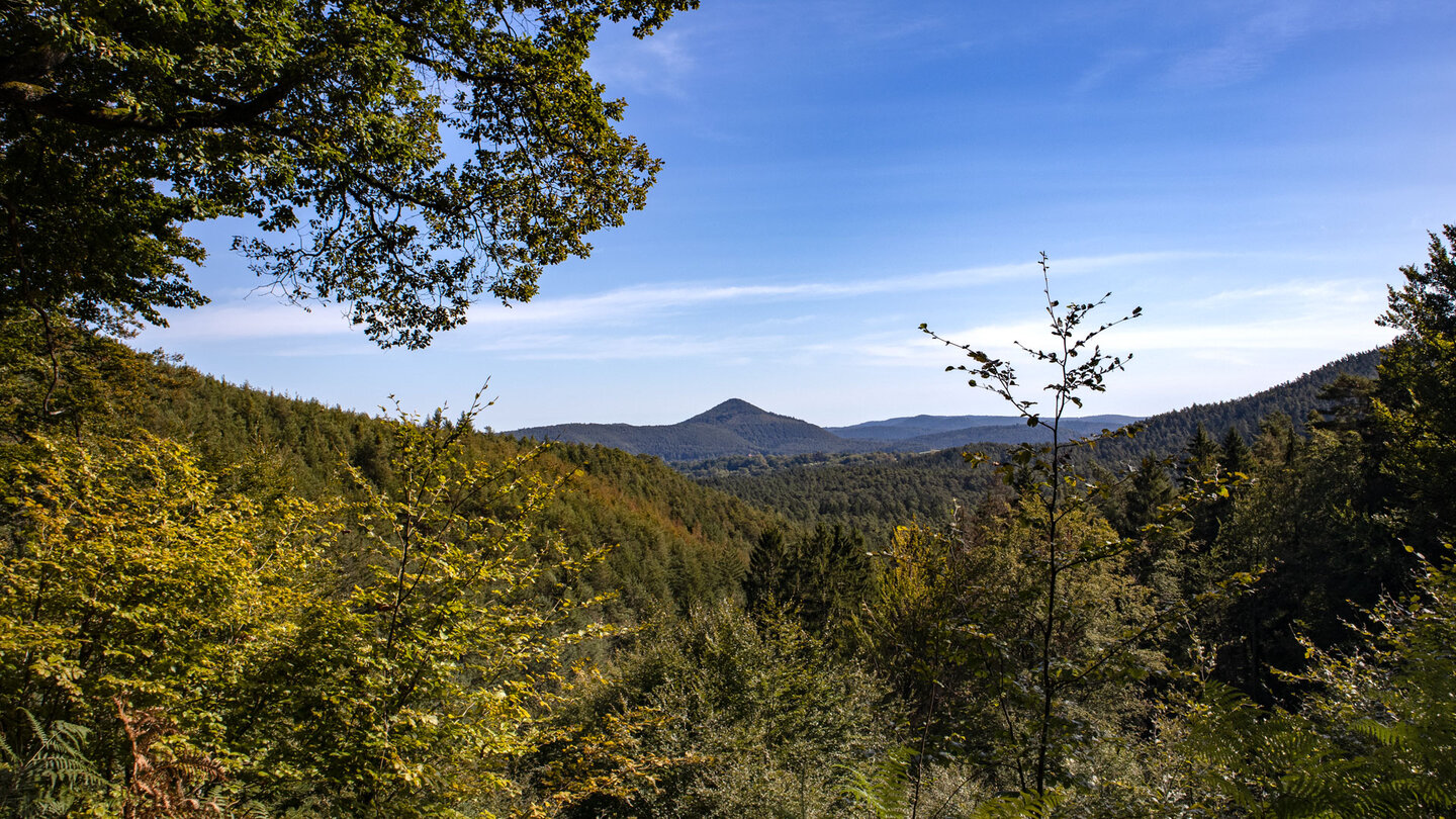 Fernsicht über den Pfälzerwald