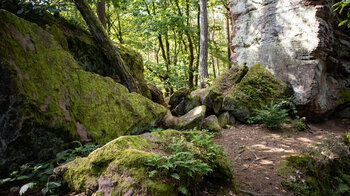 bemooste Felsblöcke am Napoleonsteig