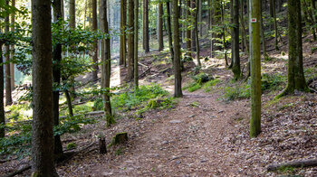 Wanderpfad am Grand Wintersberg