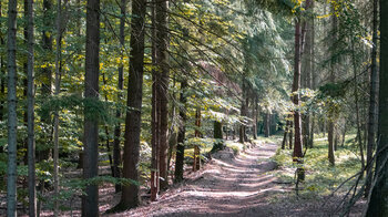 Wanderweg zum Col du Borneberg