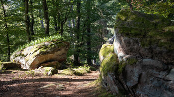 Felsen auf dem Grat zum Teufelstisch