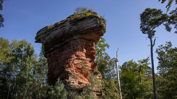 Teufelstisch bei Eppenbrunn im Pfälzerwald