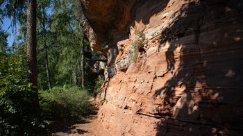 Riffwanderpfad Rotenrumer Eck bei Eppenbrunn