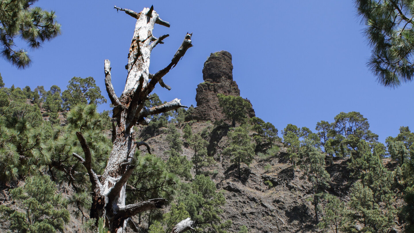 der Bergkamm mit dem Roque Idafe auf La Palma