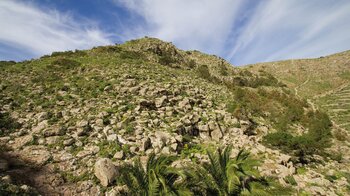 der Barranco de Elvira Sánchez im Famara Massiv