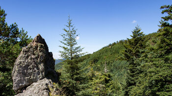 die Felsen des Karlsruher Grats zwischen den Wipfeln der Bäume