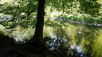 Entlang des malerischen Flusslaufs der Wutach