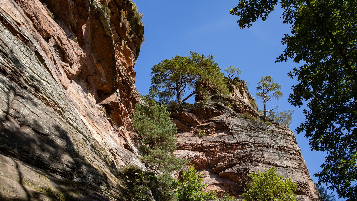 das Buntsansteinmassiv des Hochstein