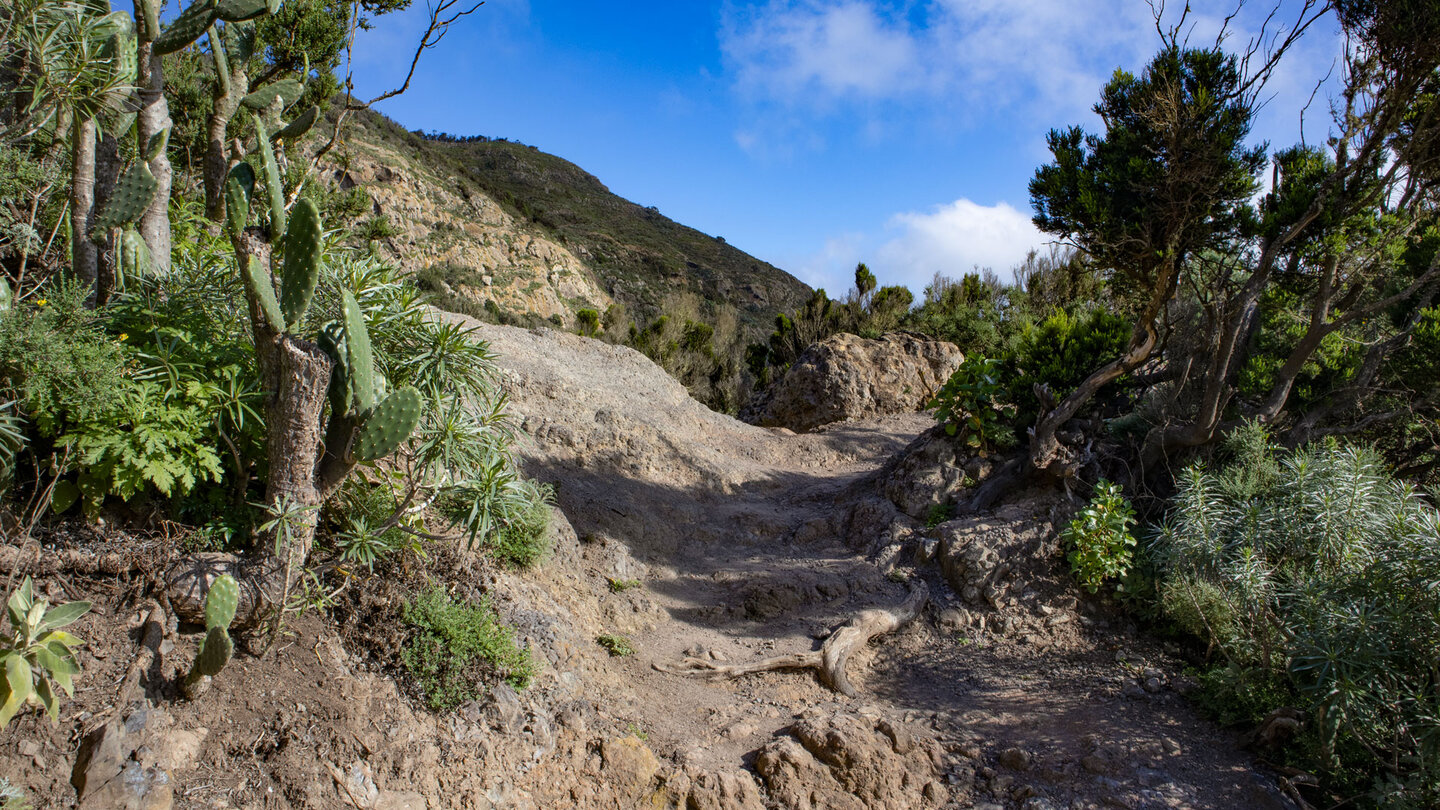 Wegabschnitt nahe des Roque del Pilón