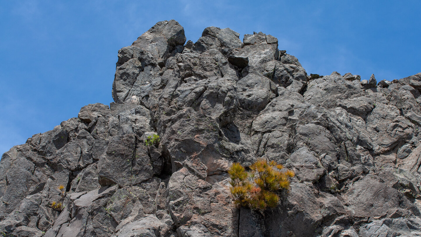 graue Basaltformation am Wegesrand