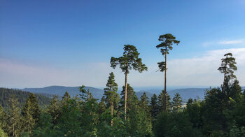 Blick über den Schwarzwald zur Rheinebene