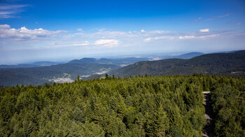 Ausblick vom Hohlohturm bis zur Rheinebene