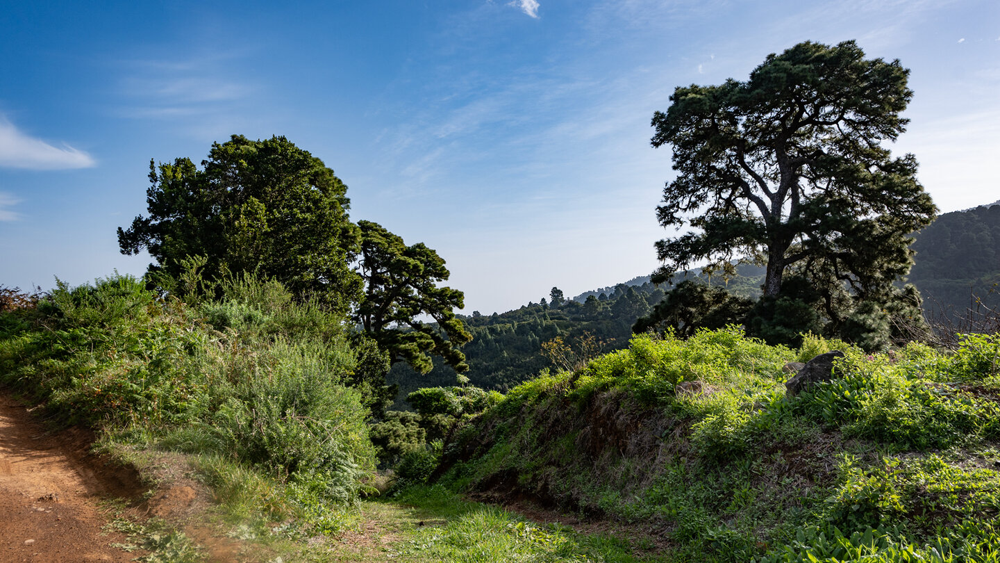 Wanderweg bei Roque del Faro