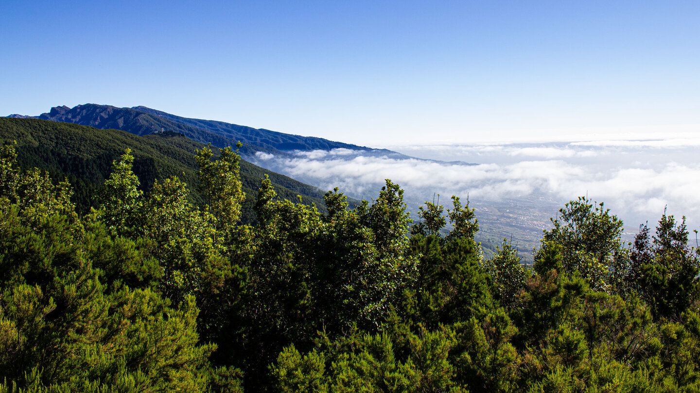 Blick über die grüne Landschaft vom Mirador Astronómico de Llano de la Venta auf La Palma