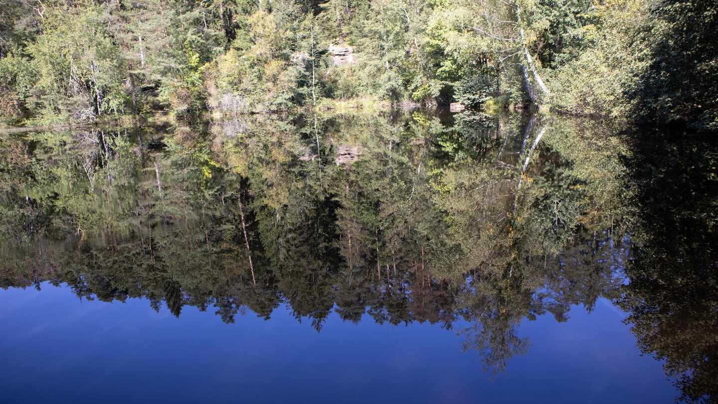 Spiegelung am Weier im Moosbachtal