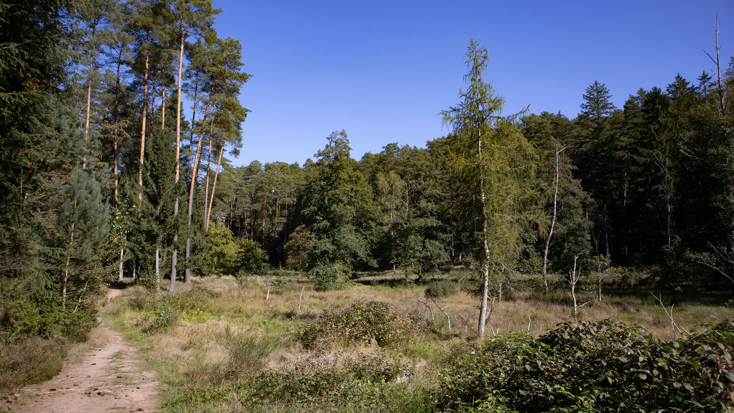 idyllische Wanderroute durchs Seibersbachtal