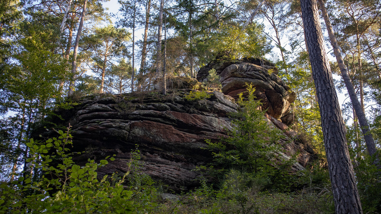 Ausblick auf den Froschfelsen